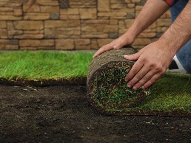 Best Time to Seed Grass